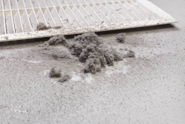 Ventilation Cleaning Services in MS