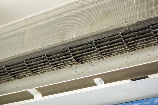 Best Air Duct Cleaning Near Me  in Picayune, MS
